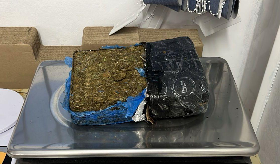 Polícia Civil apreende droga em Florianópolis
