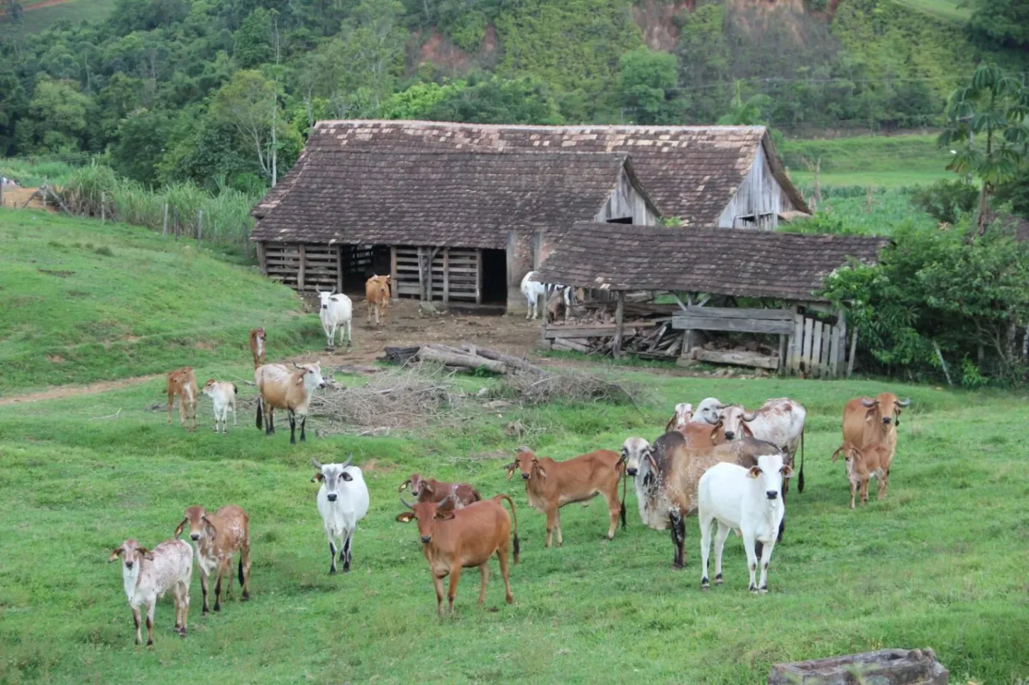 Produtores têm até 15 de dezembro para fazer o Cadastro Ambiental Rural