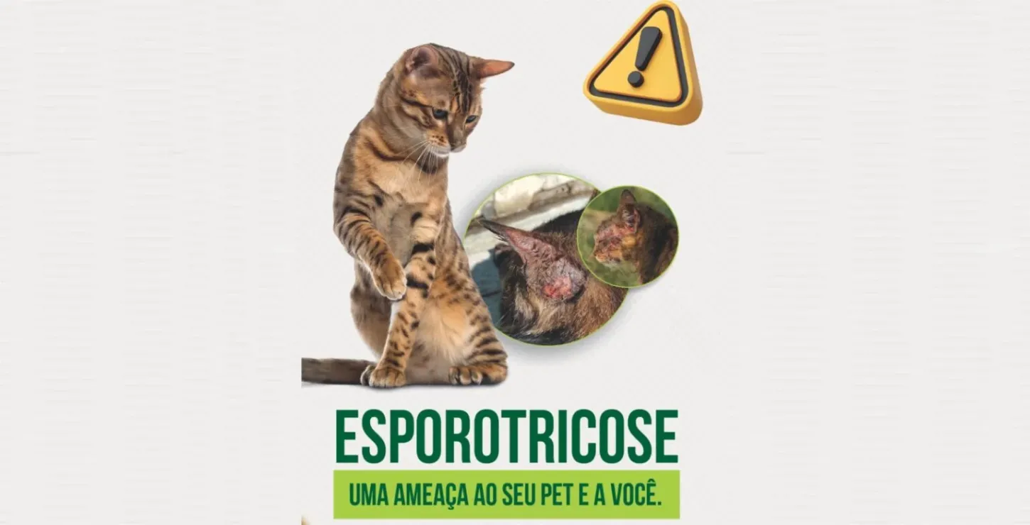 Saúde lança campanha orientativa sobre esporotricose