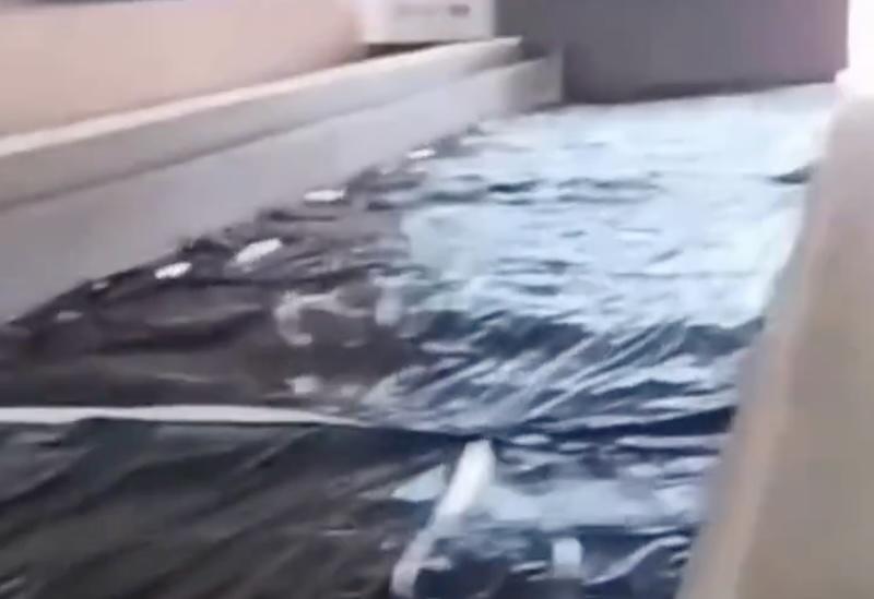 Manifestantes negras são alojadas em estábulo na Granja do Torto