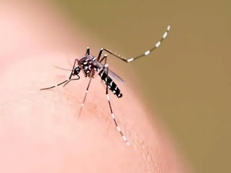 Neste sábado tem ação alusiva ao Dia Nacional de Combate à Dengue