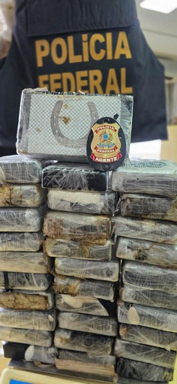 PF apreende cocaína em contêiner refrigerado no Porto de Paranaguá