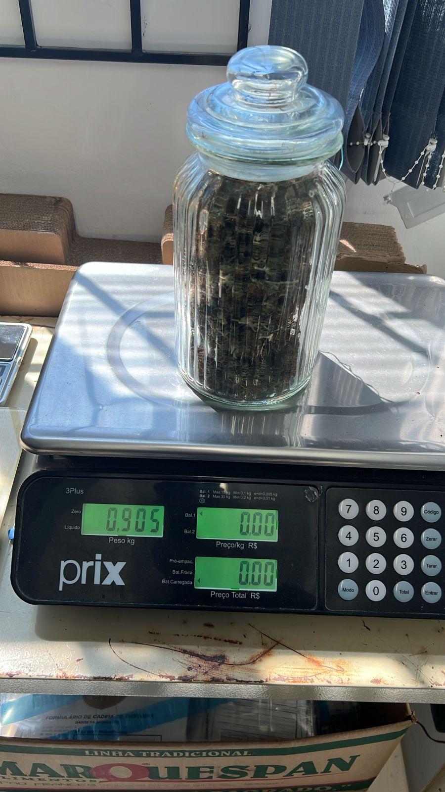 Polícia Civil de Santa Catarina deflagra a Operação Pecado Capital