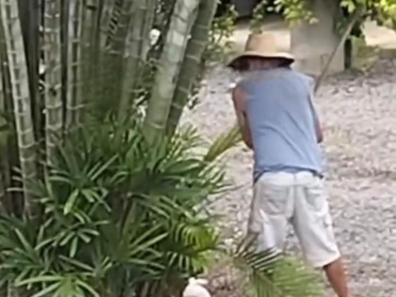 Justiça decreta prisão preventiva de dois homens suspeitos de matar cães em Timbó e Rio dos Cedros