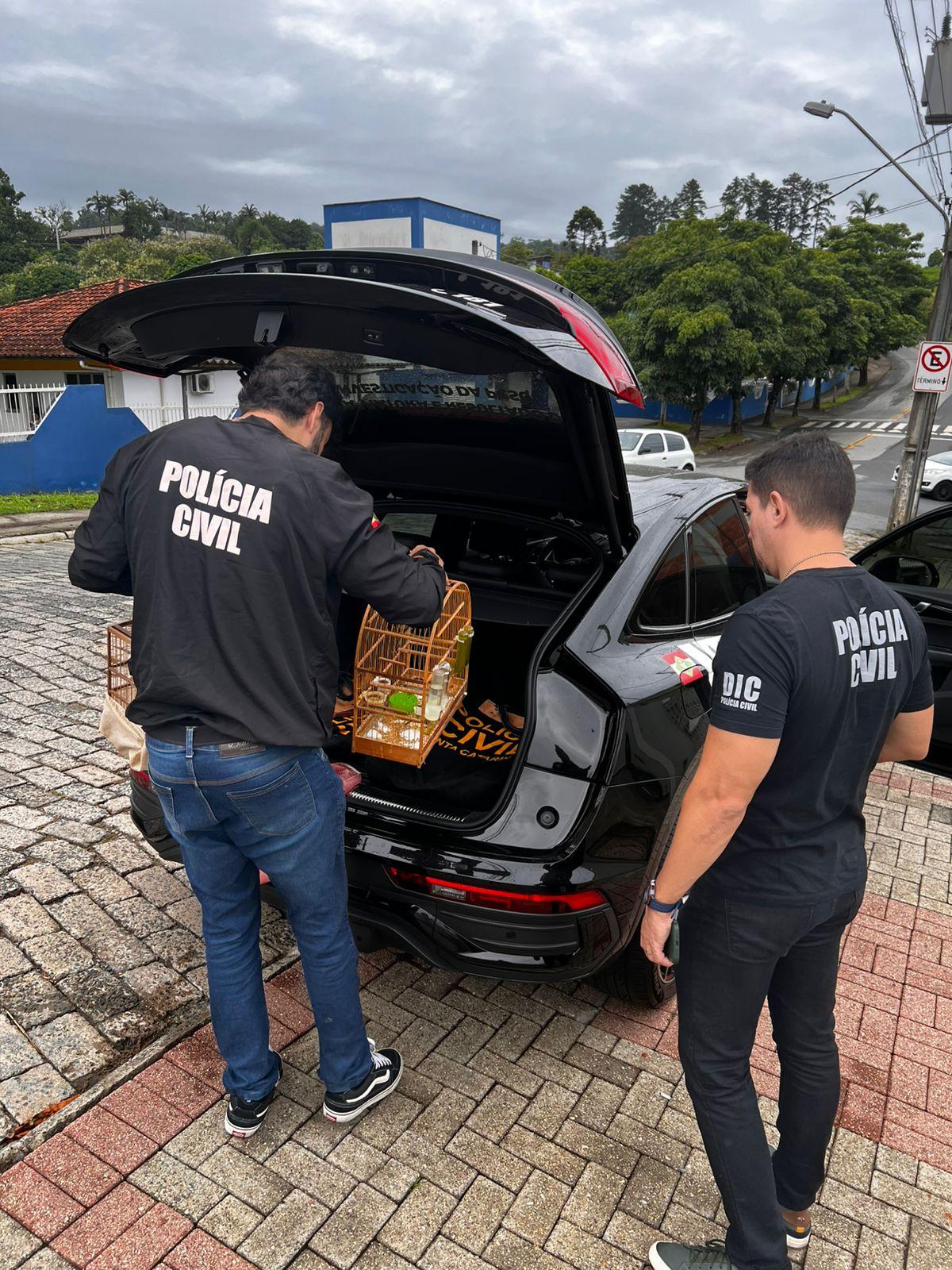 Polícia Civil cumpre mandados contra suspeito de golpe da falsa assessoria em Blumenau