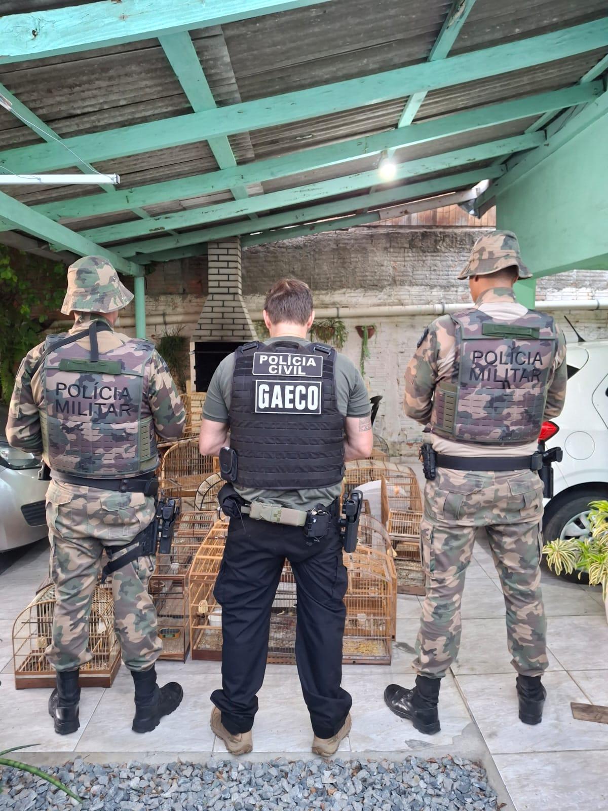 GAECO deflagra Operação Aruana contra rede de tráfico de animais em cinco estados