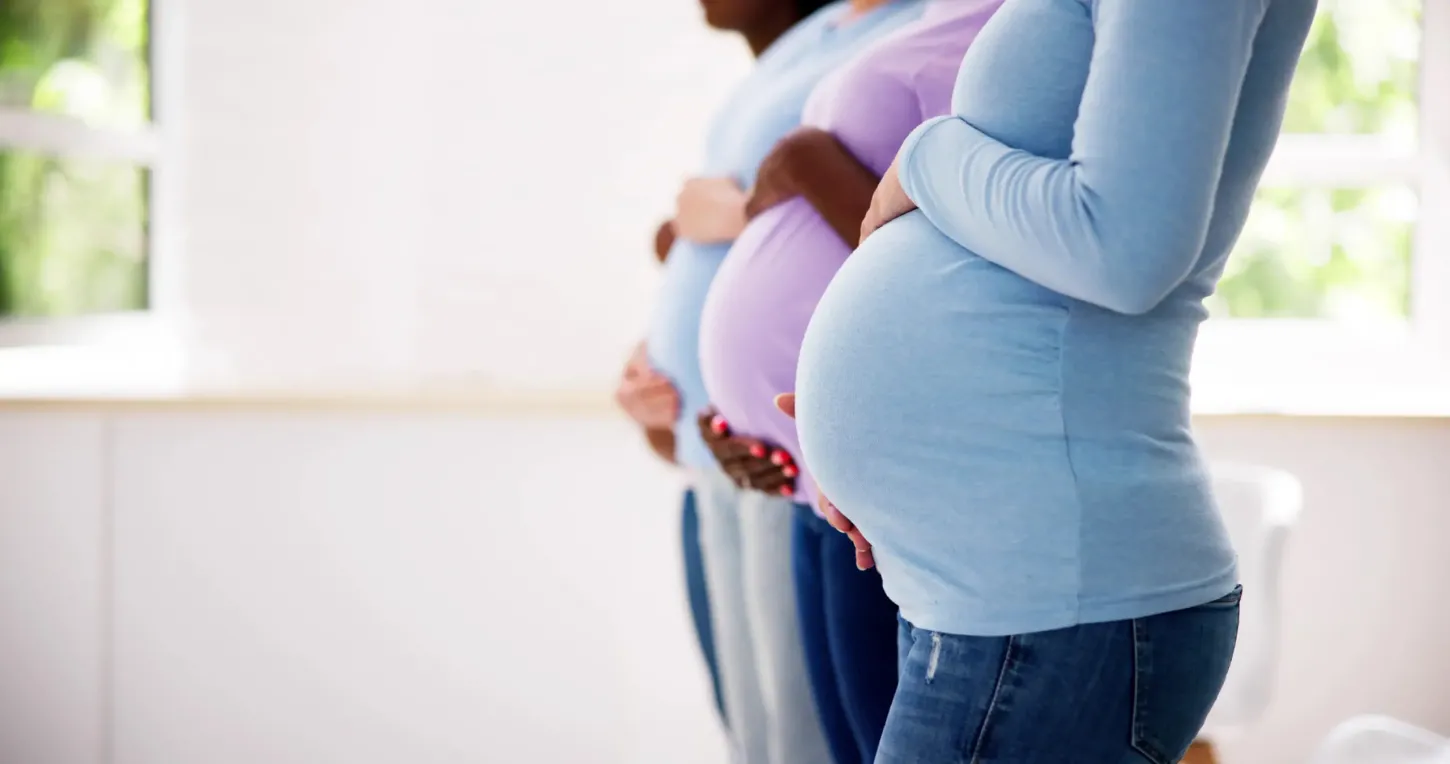 Jaraguá do Sul sediará 1ª Jornada Regional da Rede Alyne