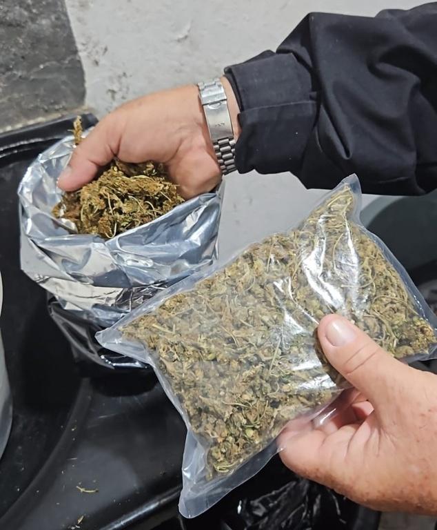 FICCO/PB combate cultivo ilícito de entorpecentes