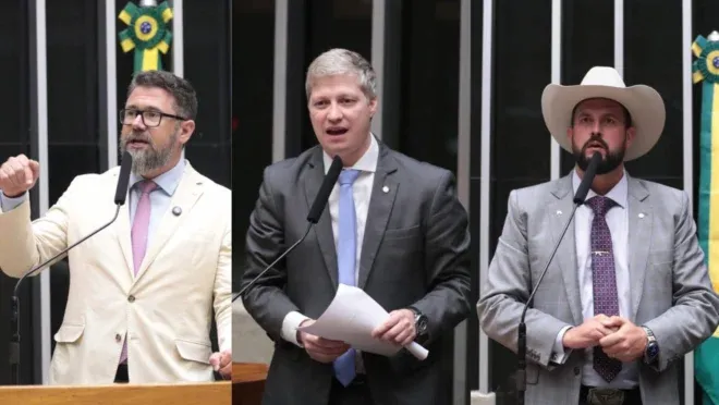 Conselho de Ética aprova suspensão de Van Hattem, Trovão e Pollon