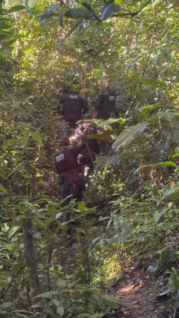 Operação conjunta realiza buscas de cadáveres em área de mata em São José