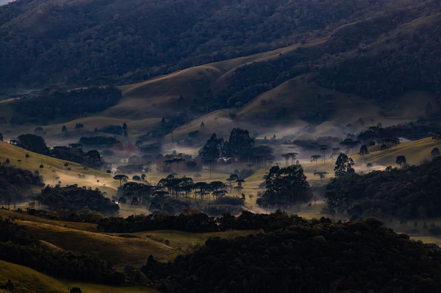 Defesa Civil de Santa Catarina emite aviso para onda de frio ao longo desta semana