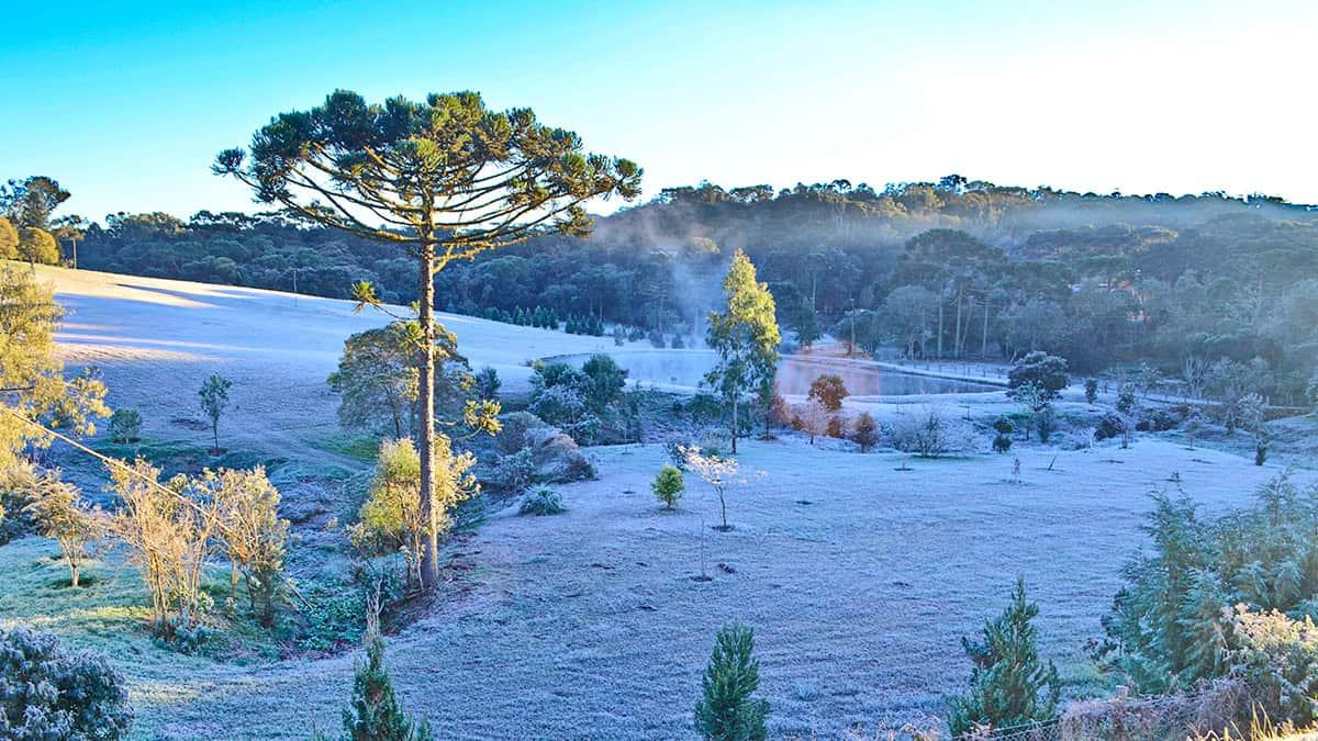 Massa polar e ciclone mudam o tempo na primeira semana de julho