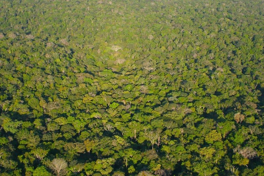 CV amplia domínio na Amazônia e expande atuação além do tráfico