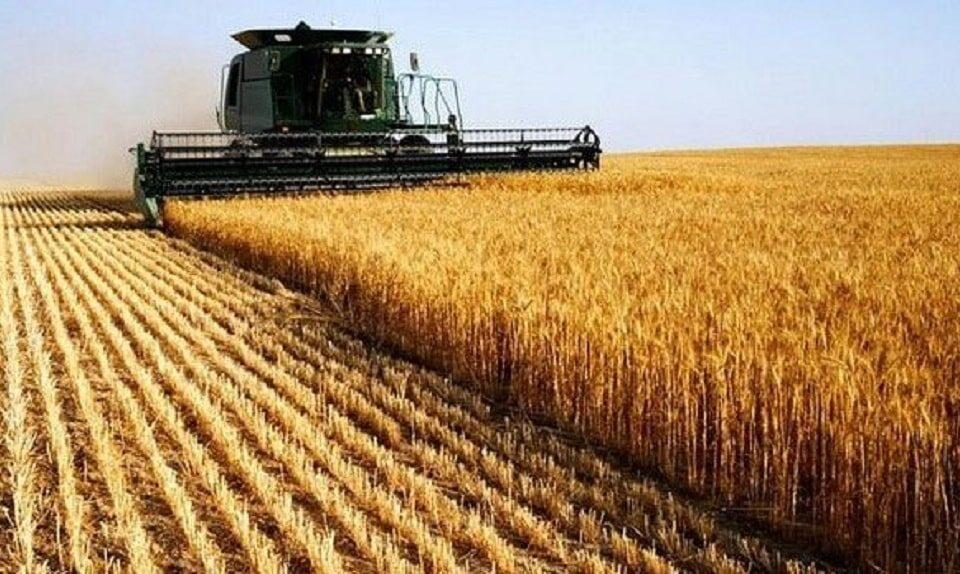 Tarifaço pode elevar custos do agro, mesmo para produtos isentos
