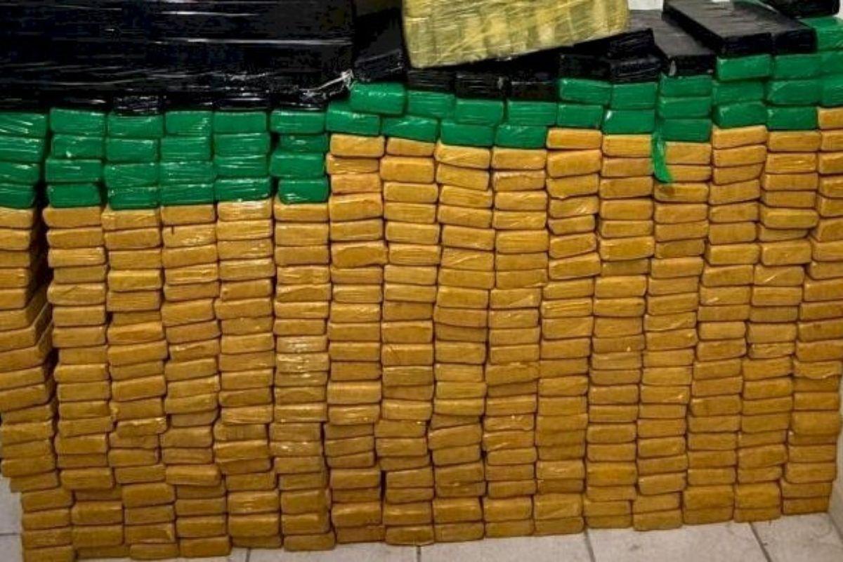 Ação conjunta entre Polícia Civil e PRF apreende 1,5 tonelada de maconha no Meio Oeste Catarinense