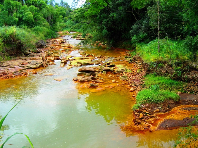 Autor de dano ambiental em área protegida não pode escolher forma de compensação ambiental 
