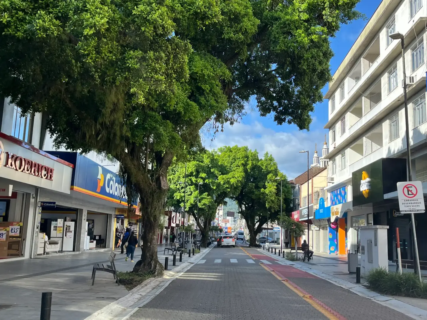 Consultoria apresenta diretrizes e cronograma do Plano de Arborização de Jaraguá do Sul