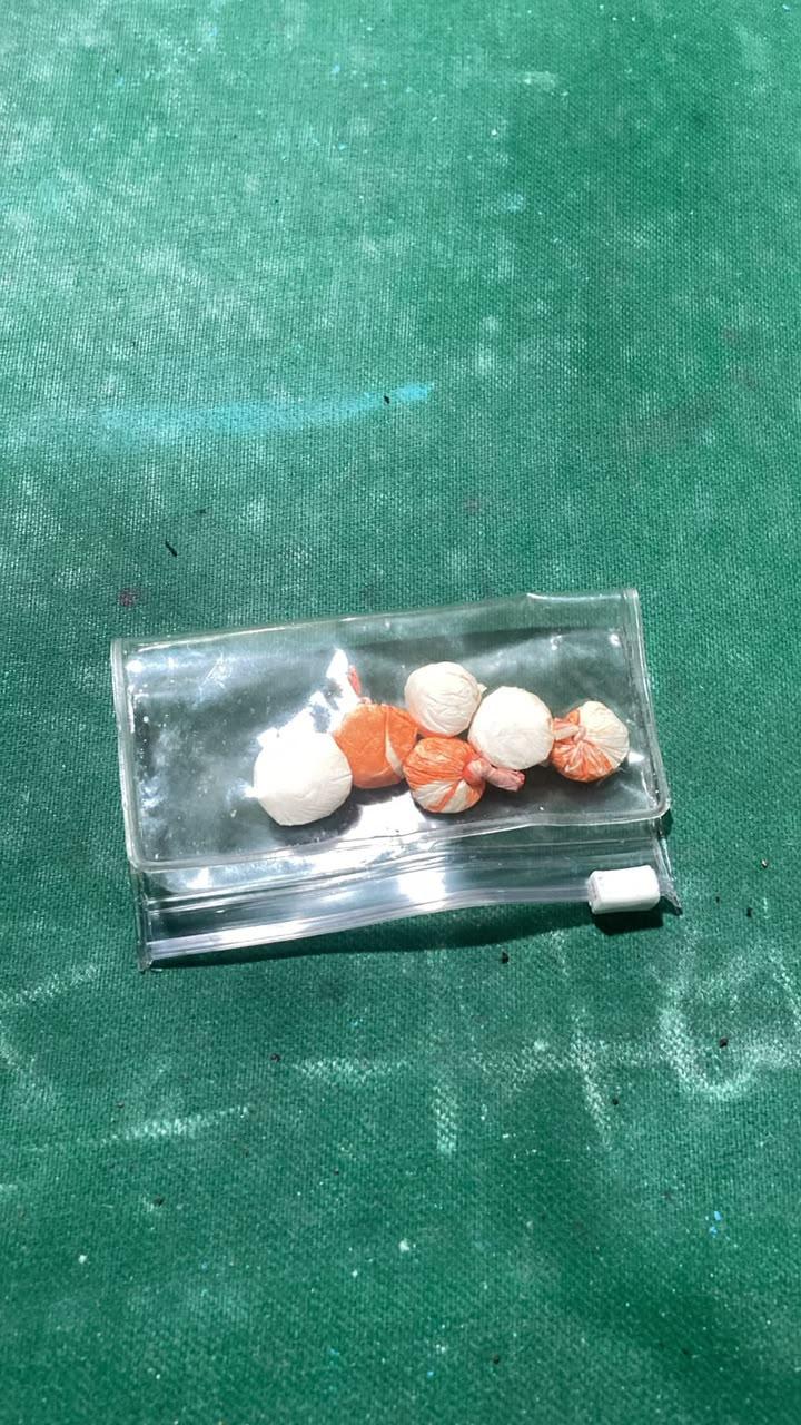 Polícia Civil apreende drogas e conduz quatro pessoas durante diligência em Brusque