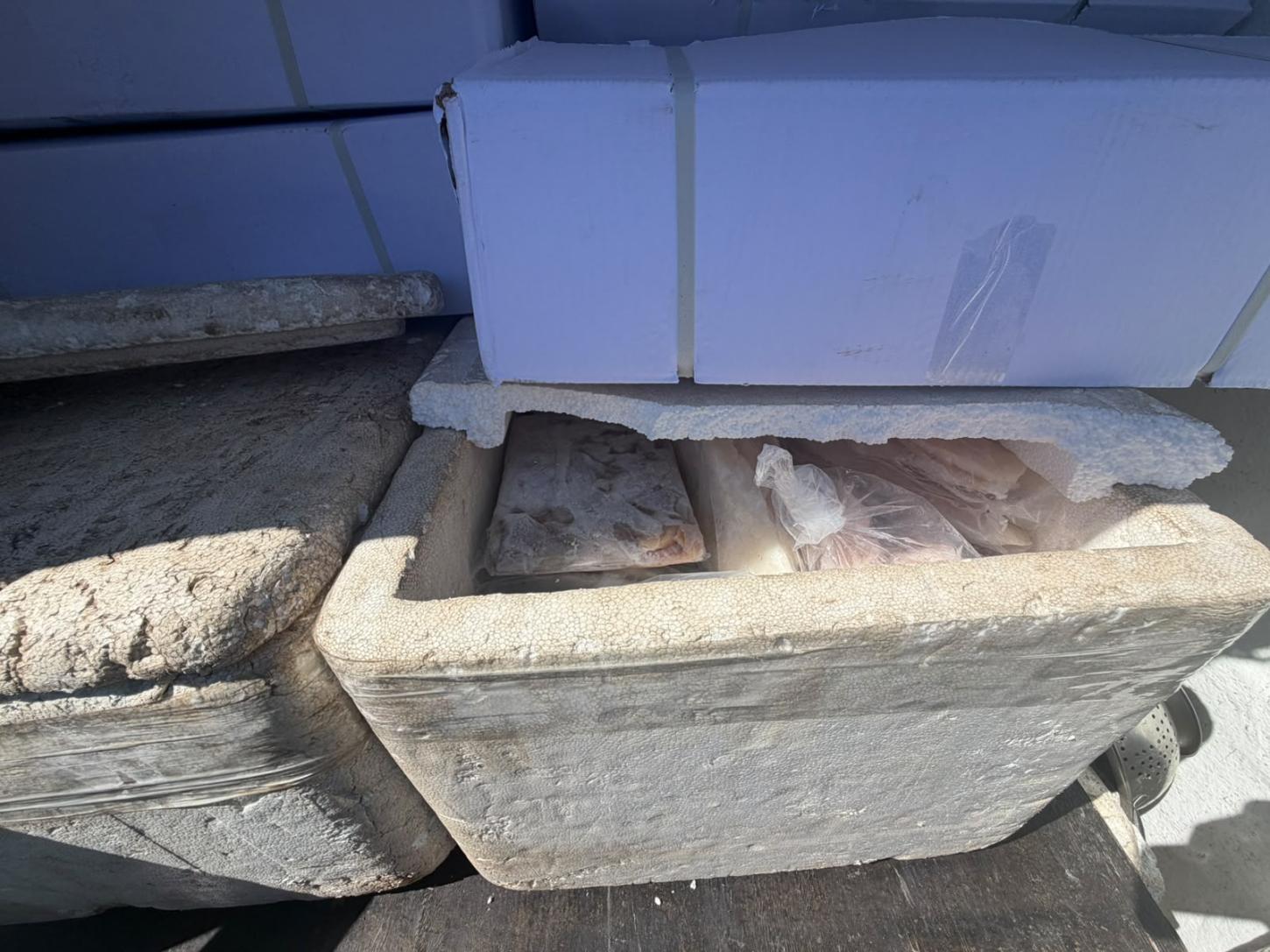 Polícia Civil deflagrou “Operação Dead Fish” e apreende 470 kg de pescados impróprios para consumo na Capital
