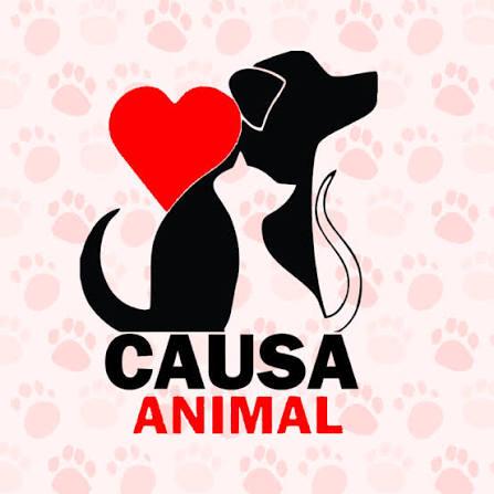 MPSC apura denúncias de maus-tratos e falhas na proteção animal em Guaramirim