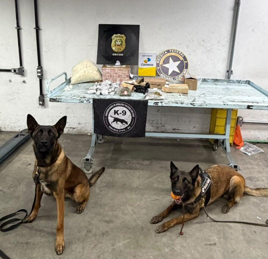 Polícia Civil apreende drogas e contrabando com auxílio de cães farejadores em rodovias e divisas do Estado