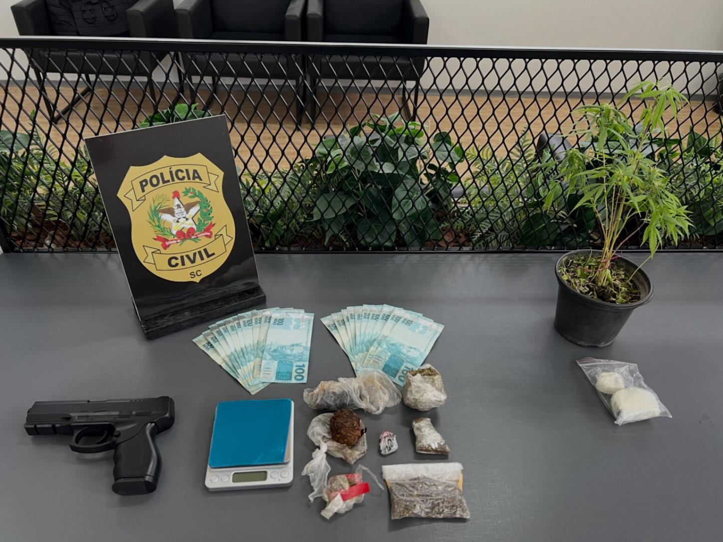 Polícia Civil deflagra operação contra o tráfico de drogas na região de Brusque e prende homem em flagrante
