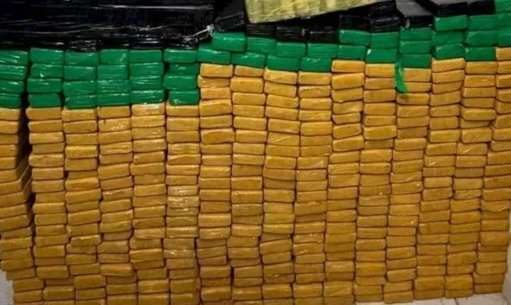 Ação conjunta entre Polícia Civil e PRF apreende 1,5 tonelada de maconha no Meio Oeste Catarinense