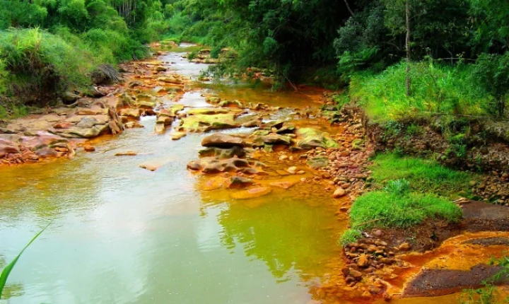 Autor de dano ambiental em área protegida não pode escolher forma de compensação ambiental 