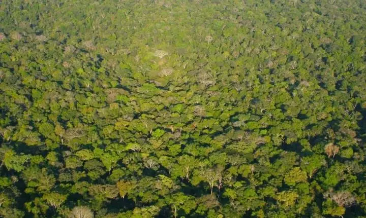 CV amplia domínio na Amazônia e expande atuação além do tráfico