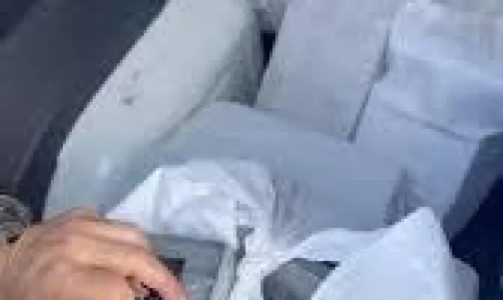 Pó branco em furgão na BR-101 revela maior carga de cocaína apreendida pela PRF-SC em 2026