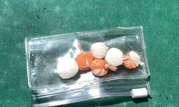 Polícia Civil apreende drogas e conduz quatro pessoas durante diligência em Brusque