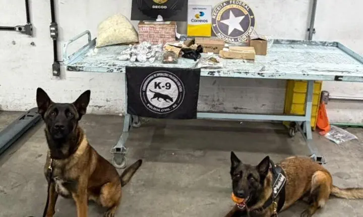 Polícia Civil apreende drogas e contrabando com auxílio de cães farejadores em rodovias e divisas do Estado
