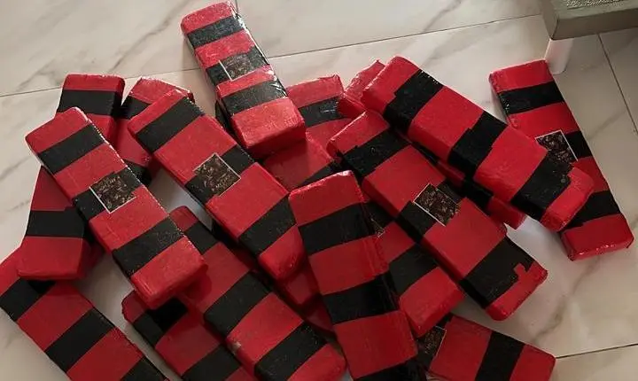 Polícia Civil apreende mais de 17 kg de drogas e cumpre mandado em Blumenau