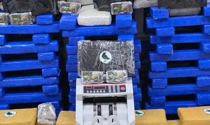 Polícia Civil apreende mais de meia tonelada de drogas em Biguaçu