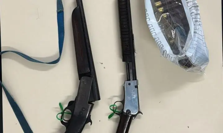 Polícia Civil cumpre mandado de busca em Joinville e apreende armas de fogo após denúncia de violência contra a mulher