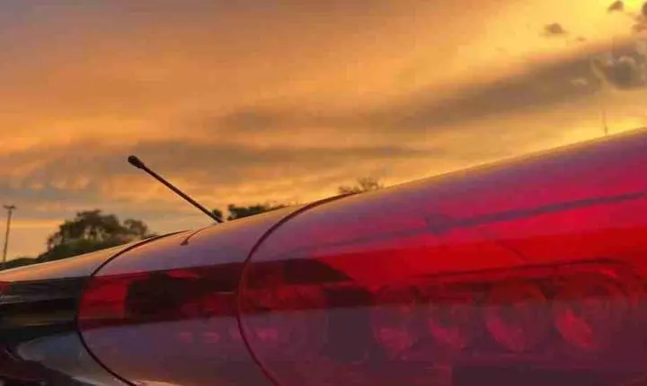 Polícia Civil e Polícia Militar recupera carga de carvão avaliado em cerca de R$48 mil em Massaranduba