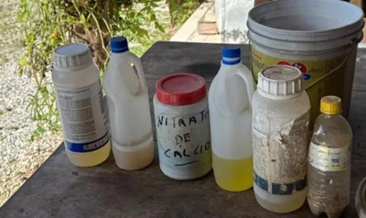 Polícia Civil prende homem em flagrante pela prática dos crimes de posse ilegal de munição de uso permitido e de uso restrito em Dionísio Cerqueira 