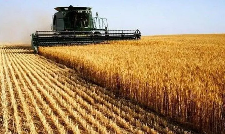 Tarifaço pode elevar custos do agro, mesmo para produtos isentos
